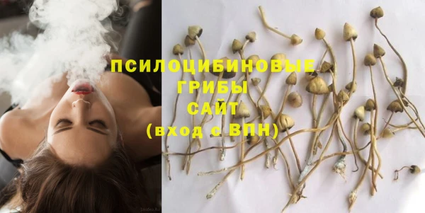 альфа пвп Инсар