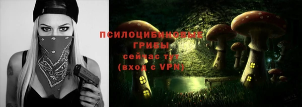 каннабис Каменногорск