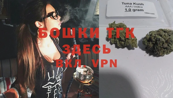 молекула духа Каменка