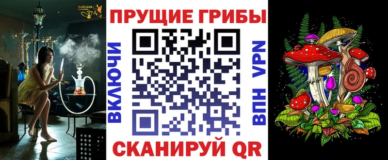 Купить  Западная Двина  Псилоцибиновые грибы мухоморы 